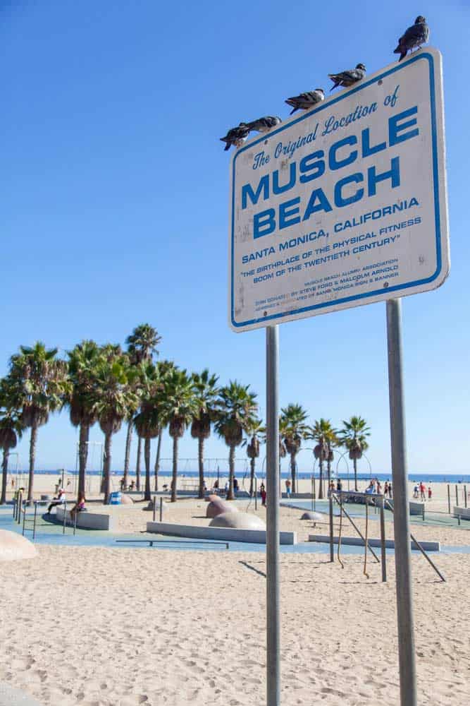 Muscle-Beach in Santa-Monica (depositphotos.com) Muscle-Beach in Santa-Monica (depositphotos.com)