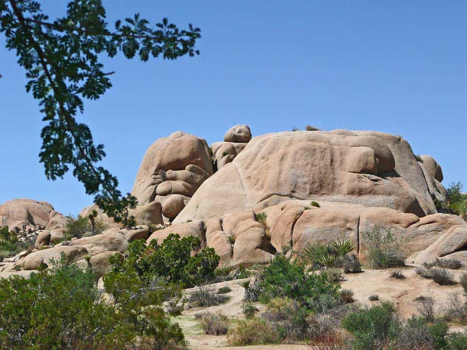 Joshua Tree National Park Joshua Tree National Park